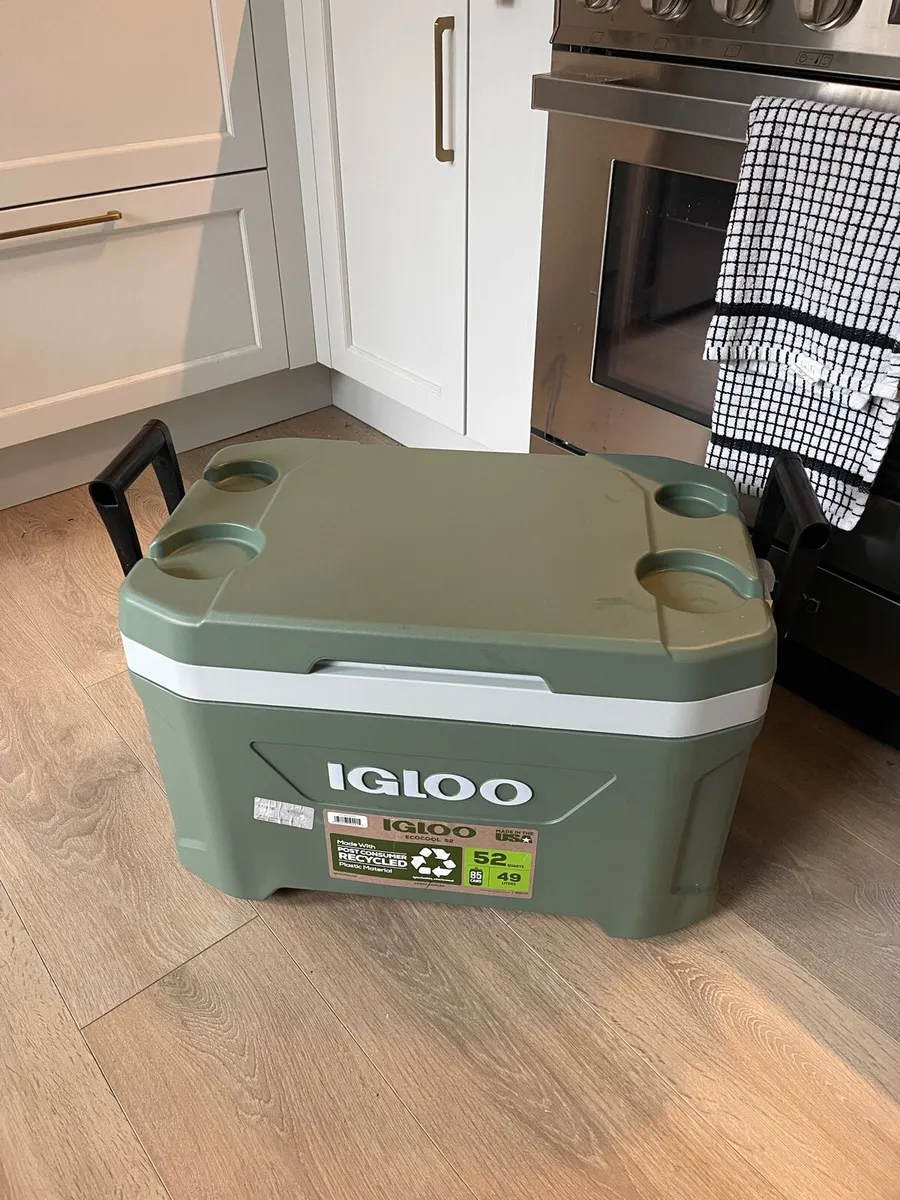 Igloo cooler - Image 1