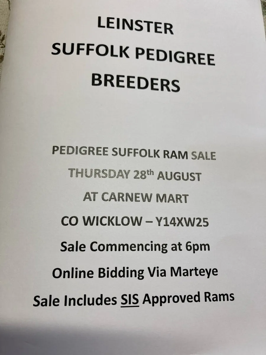Suffolk Ram Sale - Image 1