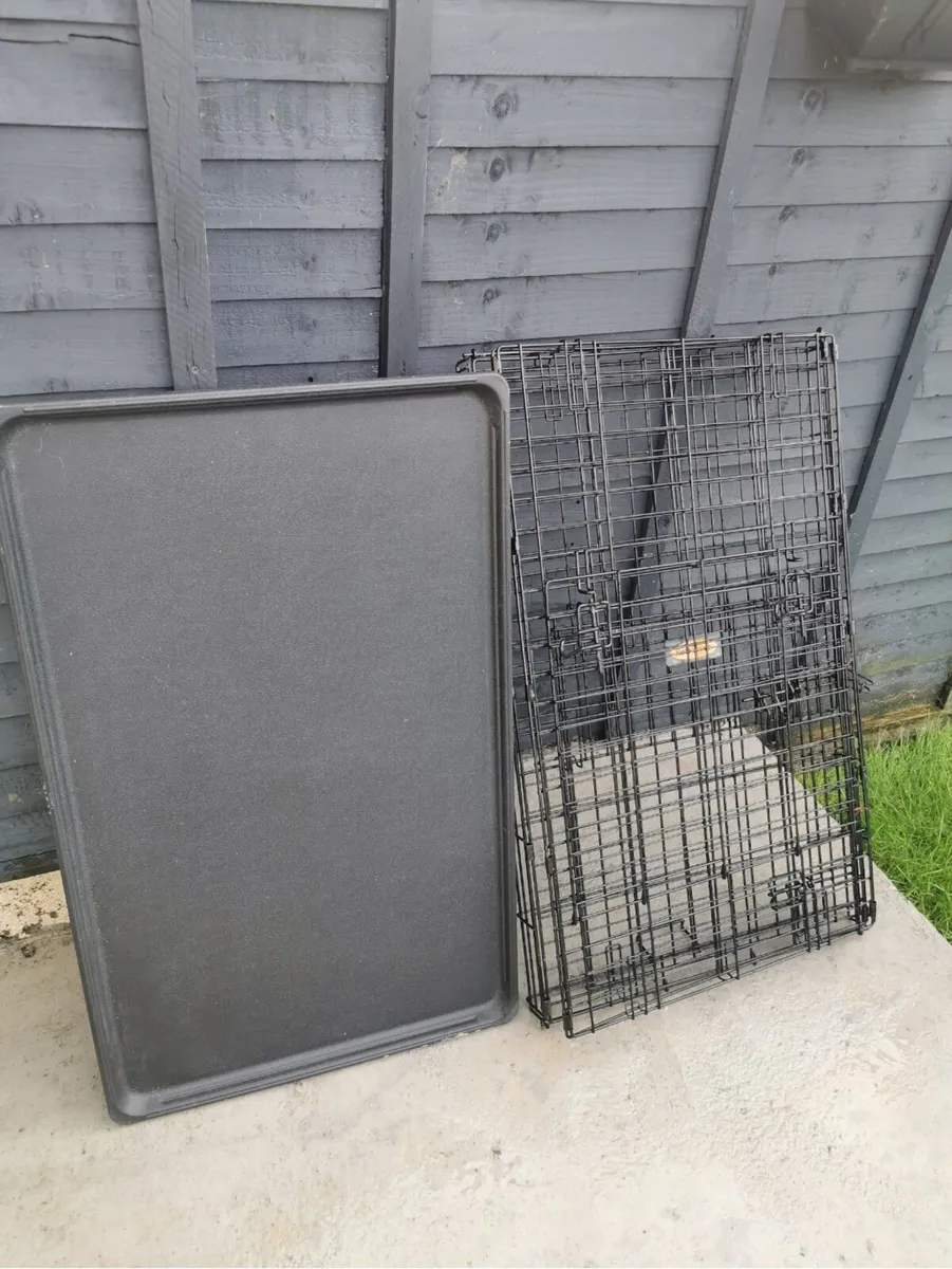 Dog cage large