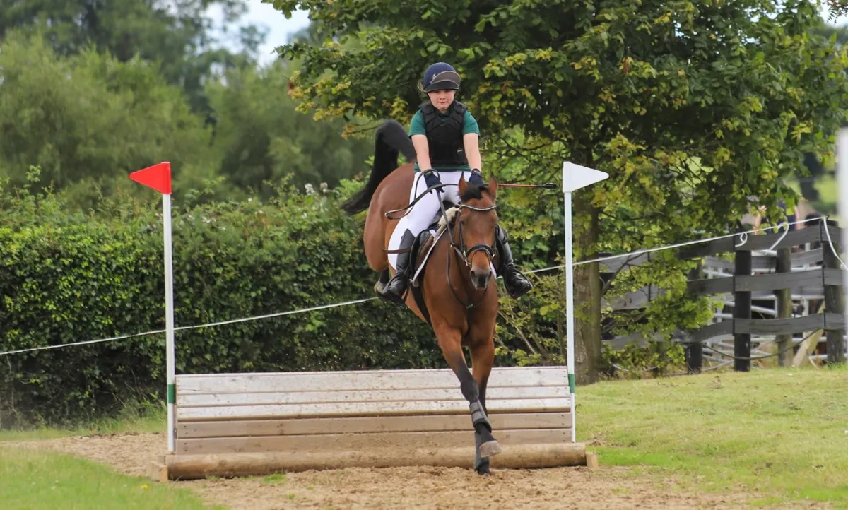 For Sale – Connie X , 16hh ISH Mare - Image 2