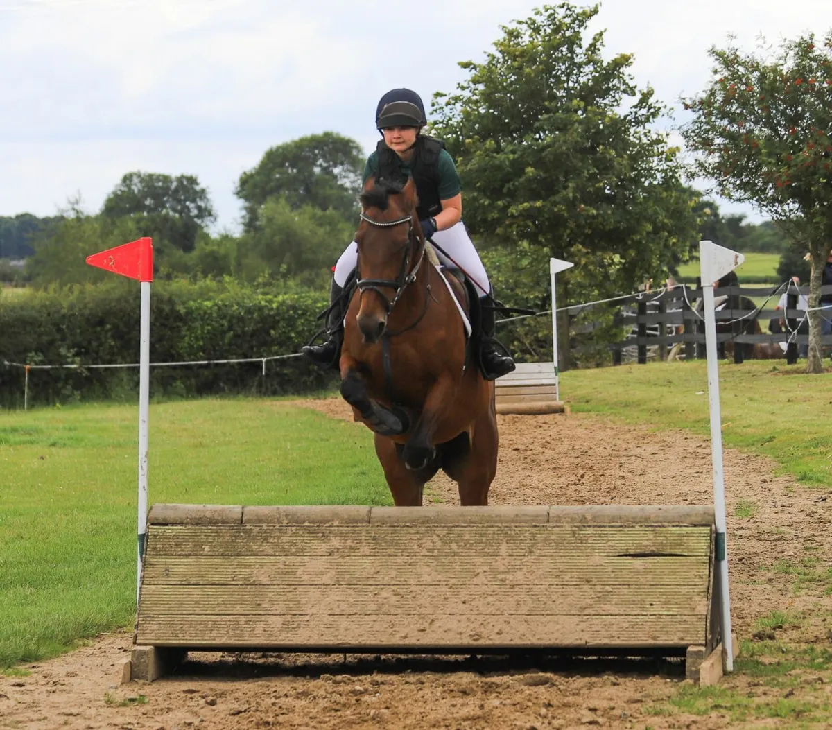 For Sale – Connie X , 16hh ISH Mare - Image 3