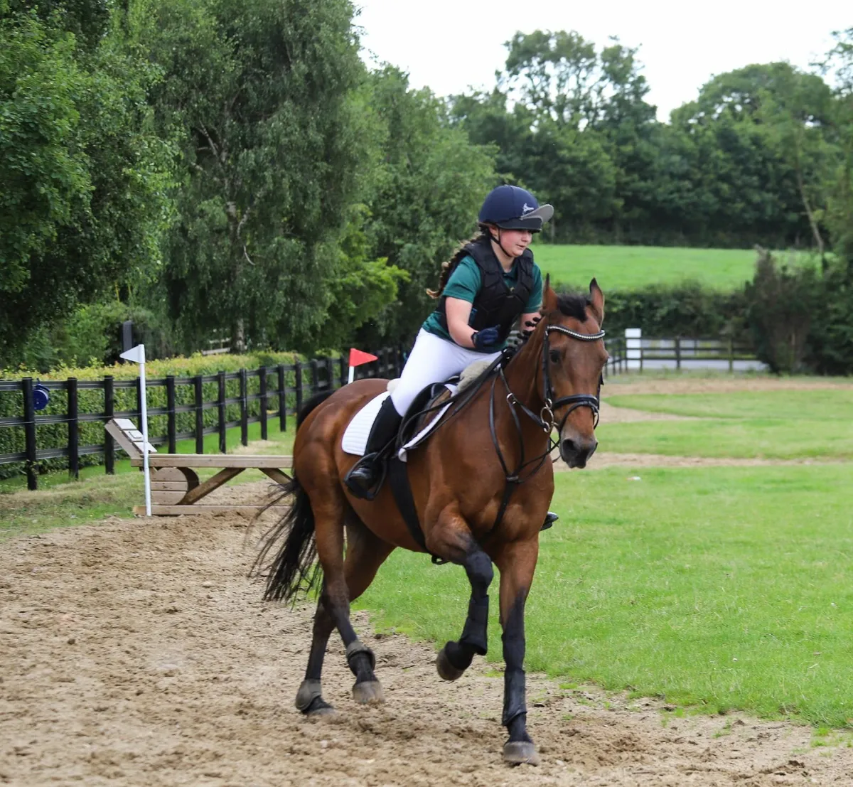 For Sale – Connie X , 16hh ISH Mare - Image 4