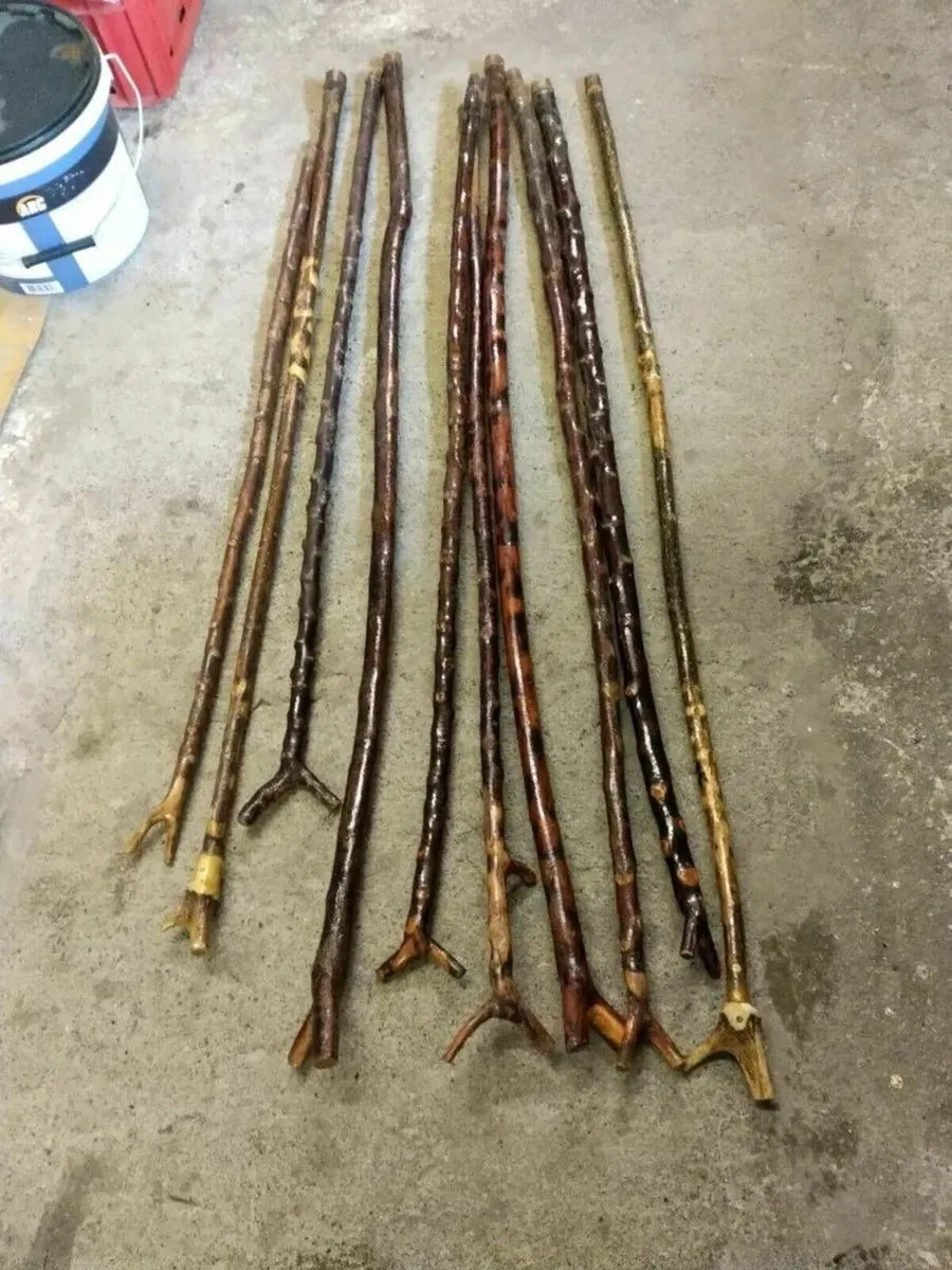 10 Blackthorn Rambling Sticks - Image 1