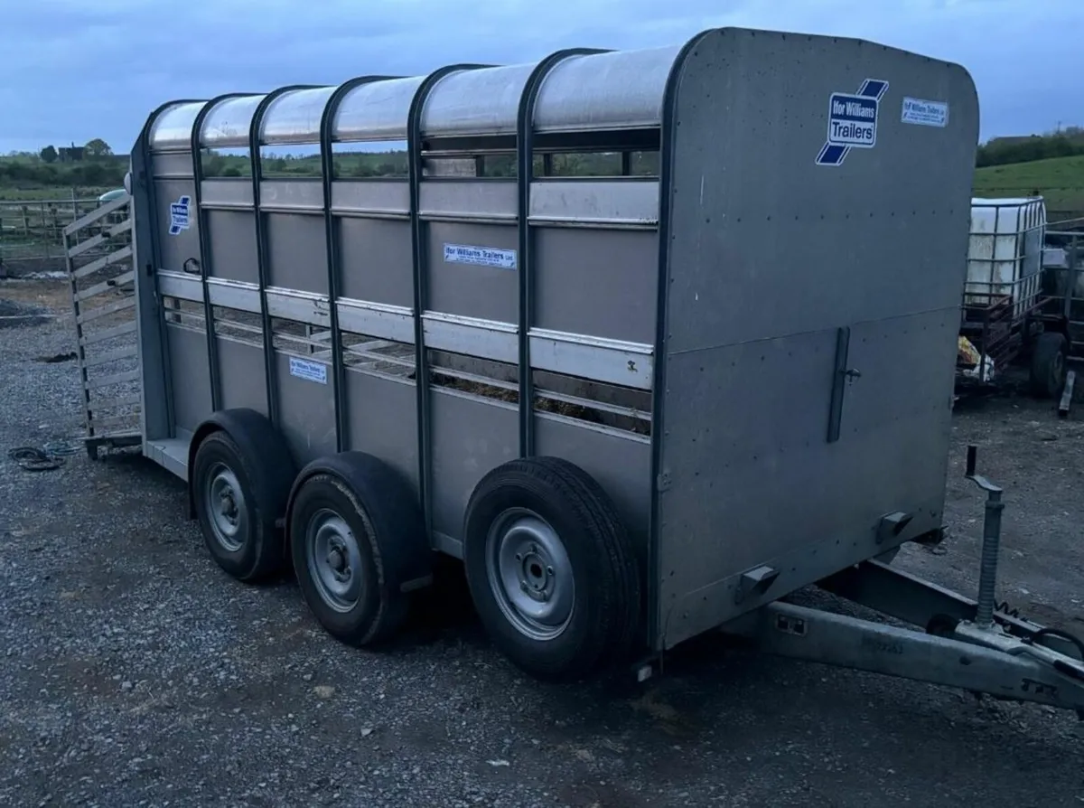 12ft Ifor williams Cattle trailer - Image 1