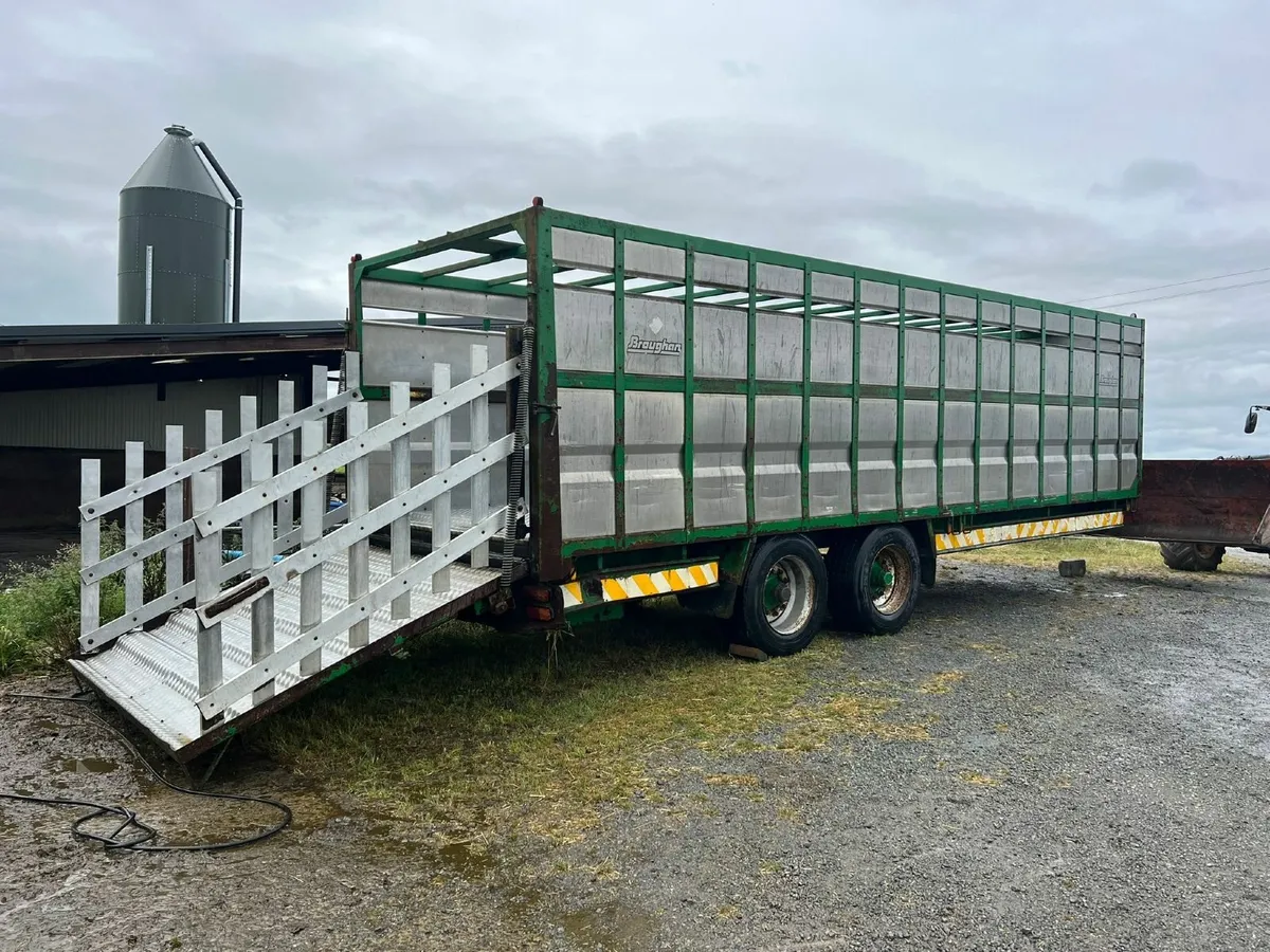 Broughan 28ft Cattle Trailer - Image 1