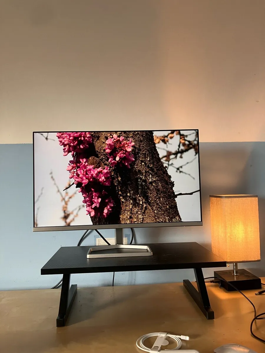 HP Monitor - Image 1