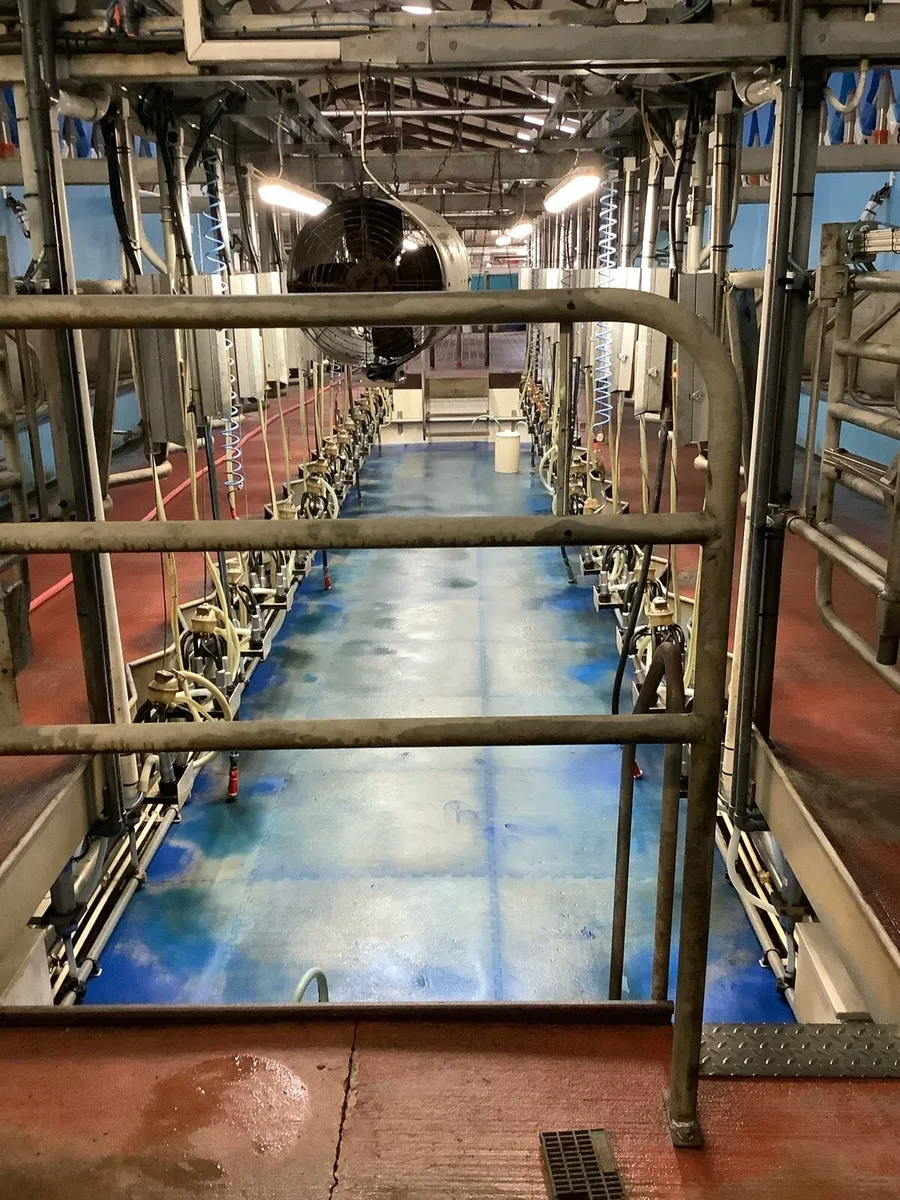 Boumatic milking Parlour - Image 1