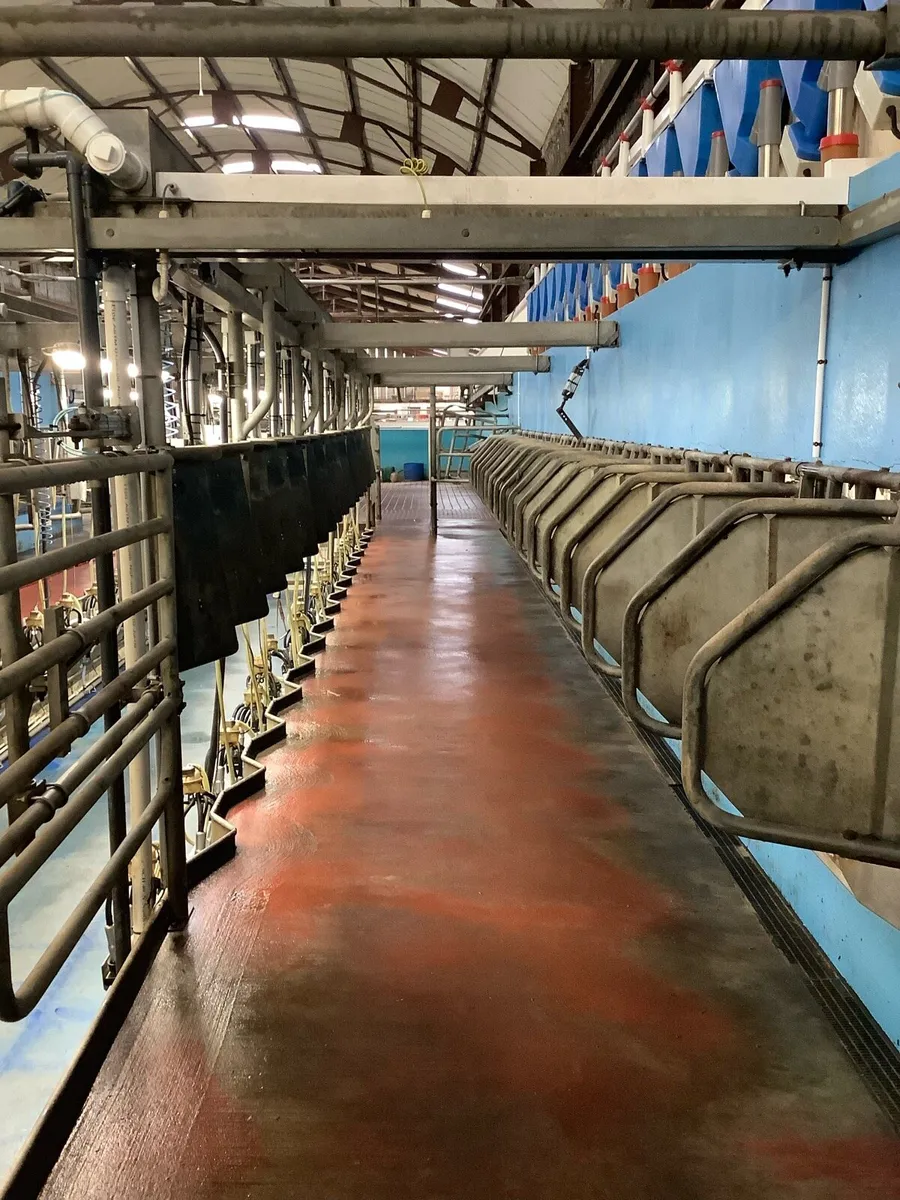 Boumatic milking Parlour - Image 3
