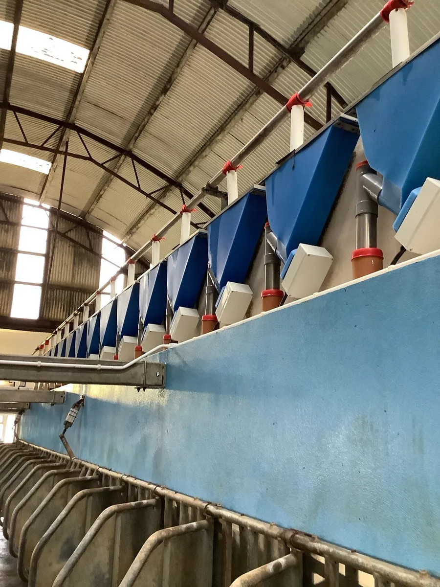 Boumatic milking Parlour - Image 4