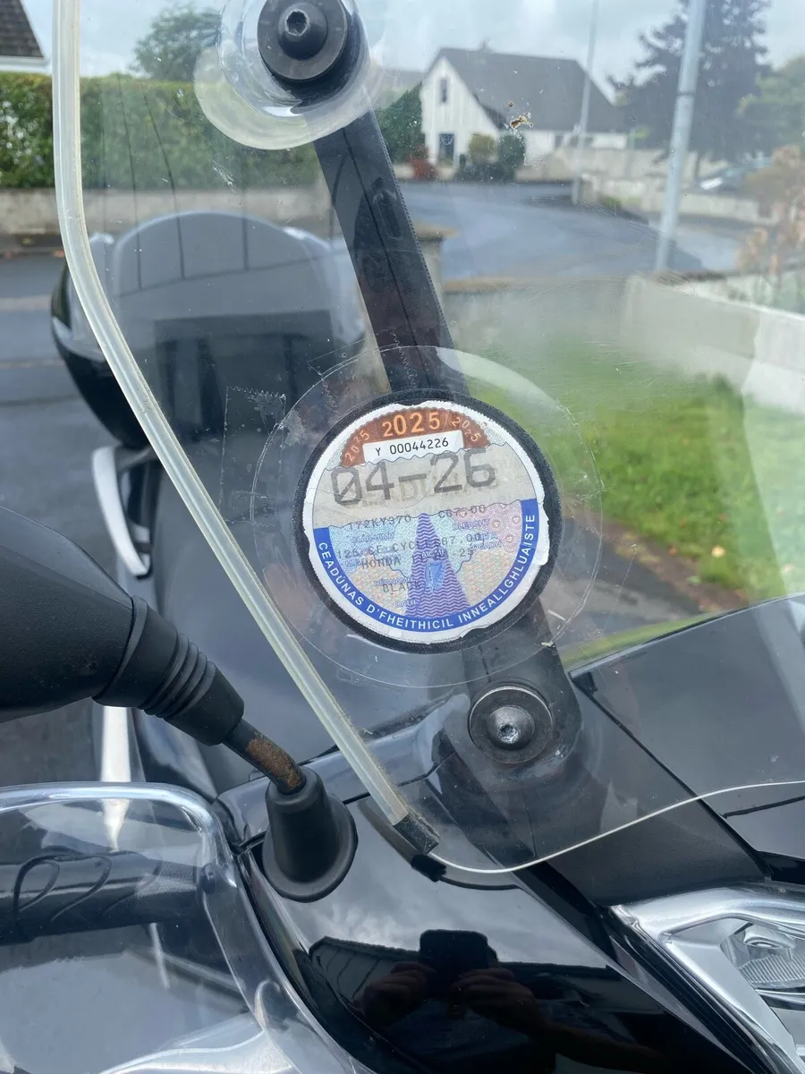 Scooter - Image 4