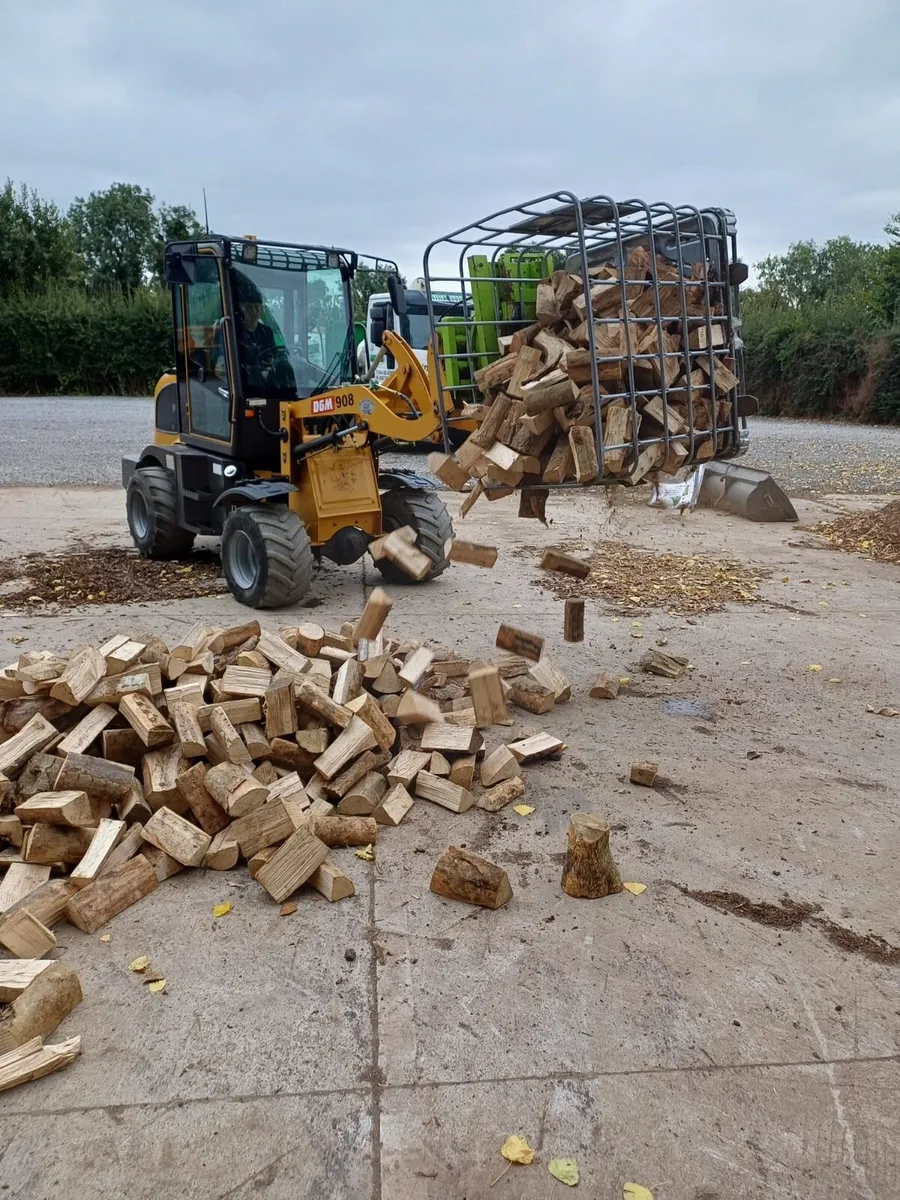 DGM 908 loader - Image 1