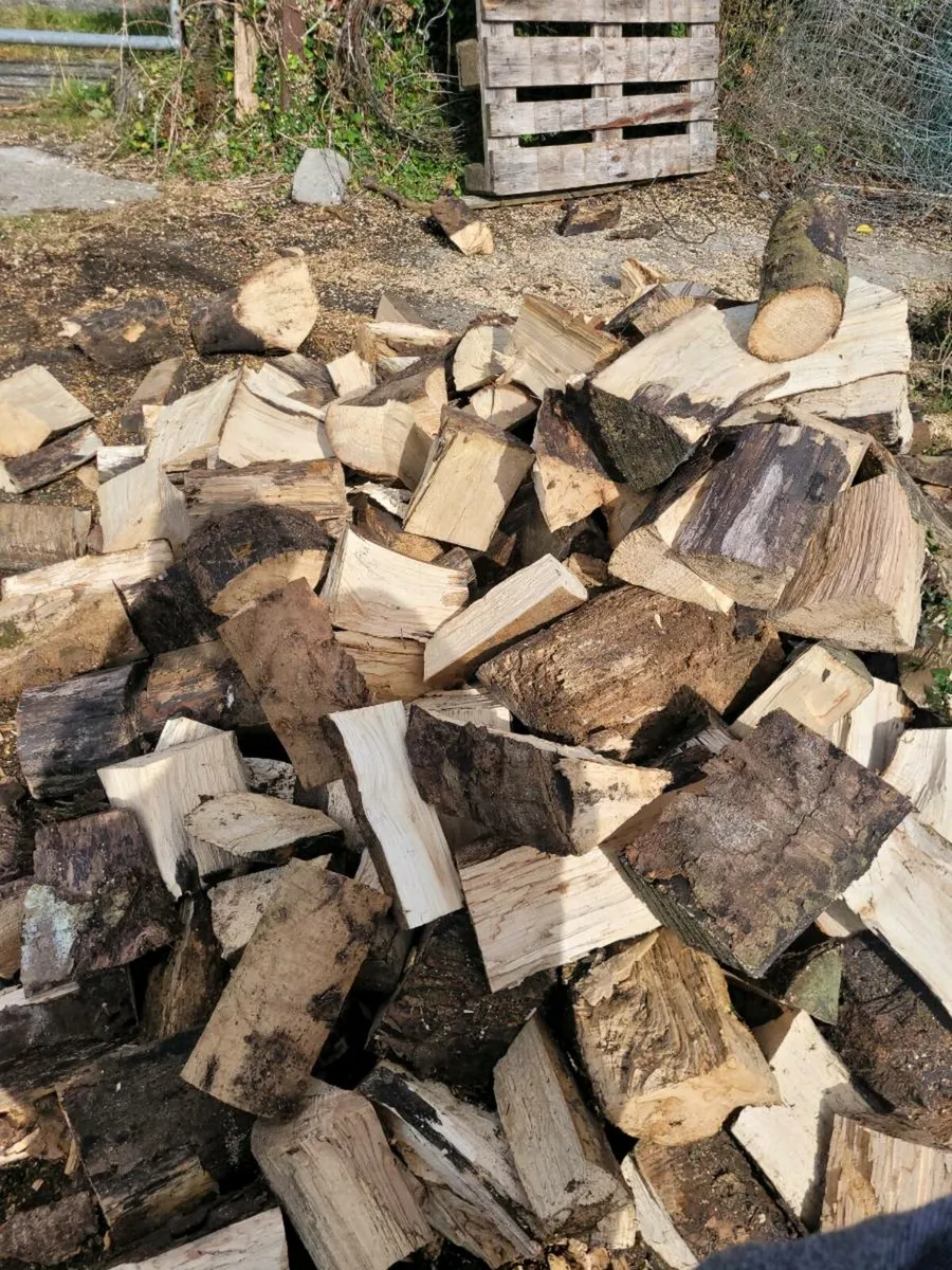 Ash firewood - Image 1