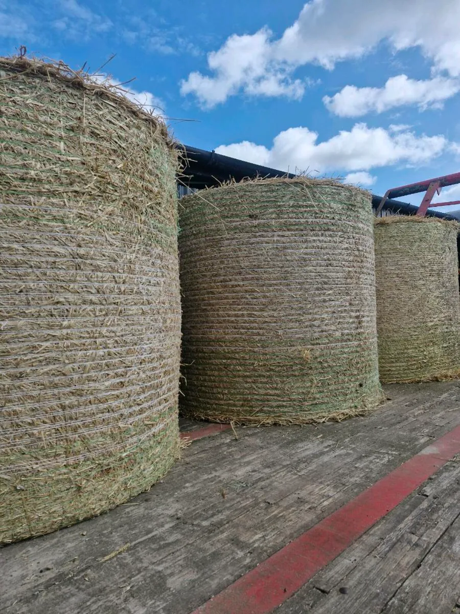 Straw