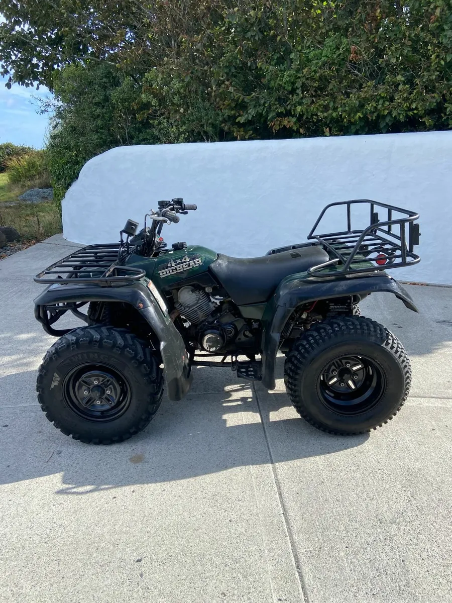 YAMAHA YFM 350 - Image 1