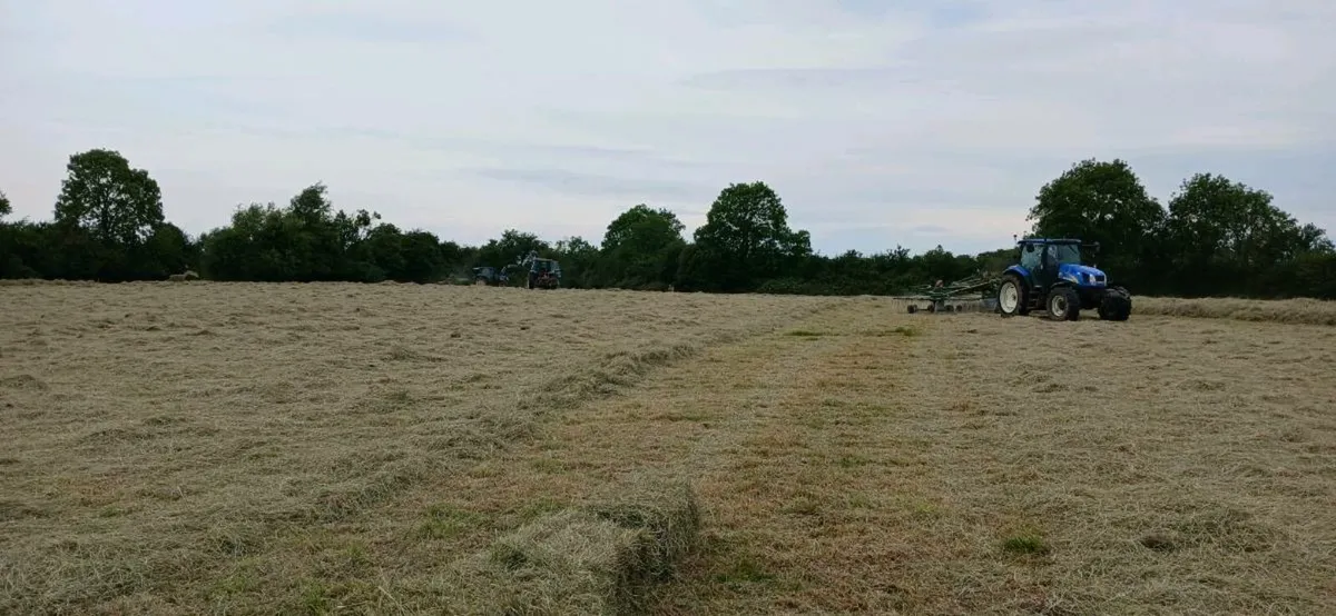 Hay. Round bales and Small Square bales - Image 2