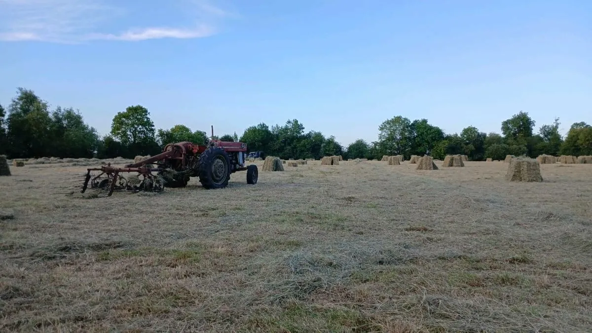 Hay. Round bales and Small Square bales - Image 3