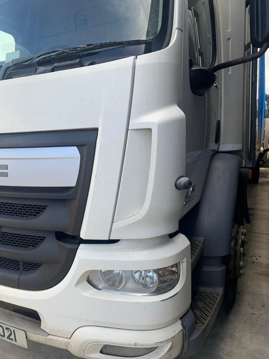 December 2016 DAF LF 55 250 - Image 2