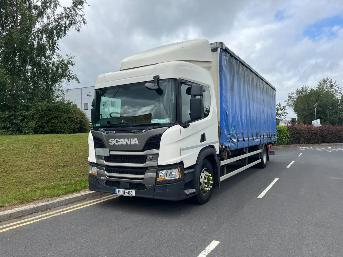 Scania P250 Curtainside 2019 - Image 1