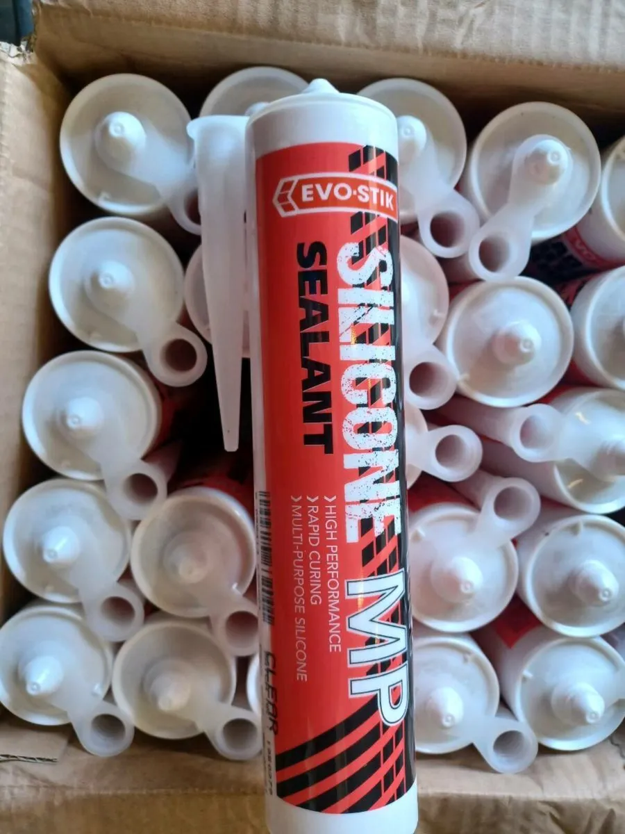 Silicone - Image 1