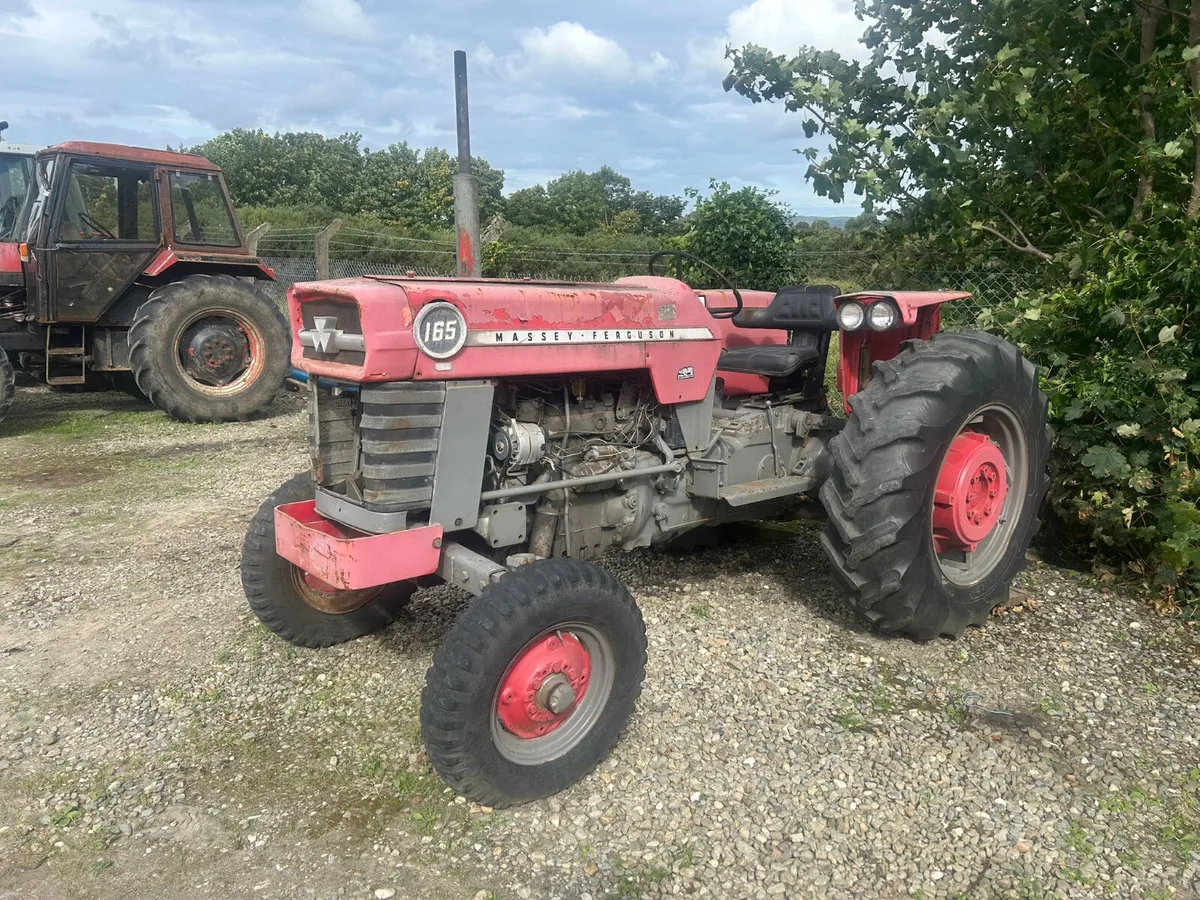 Massey Ferguson 165 - Image 2