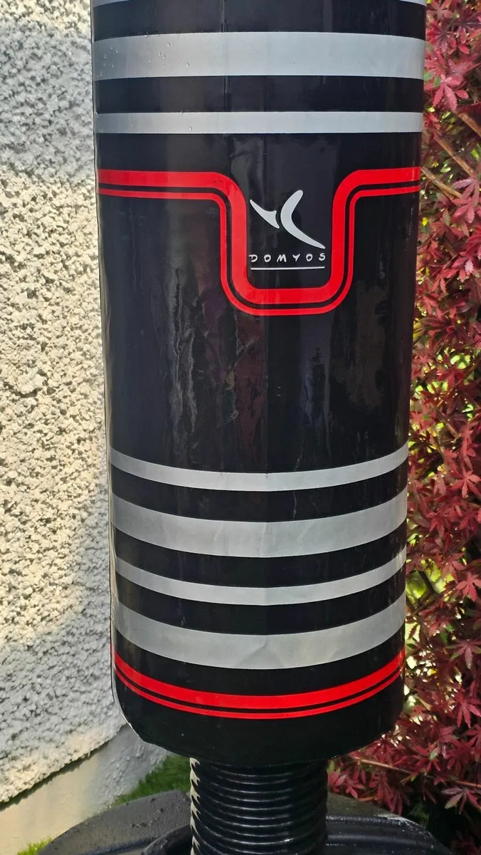 Free standing kickboxing bag - Image 1