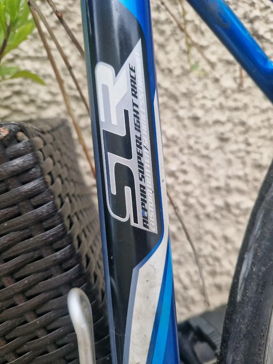 Trek racer bike - Image 2