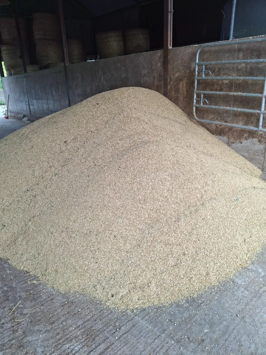 Organic combi crop - Image 1