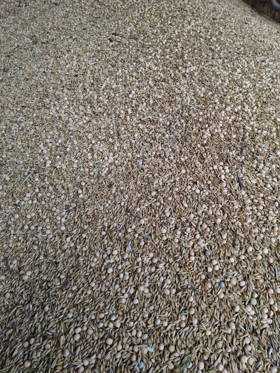 Organic combi crop - Image 2