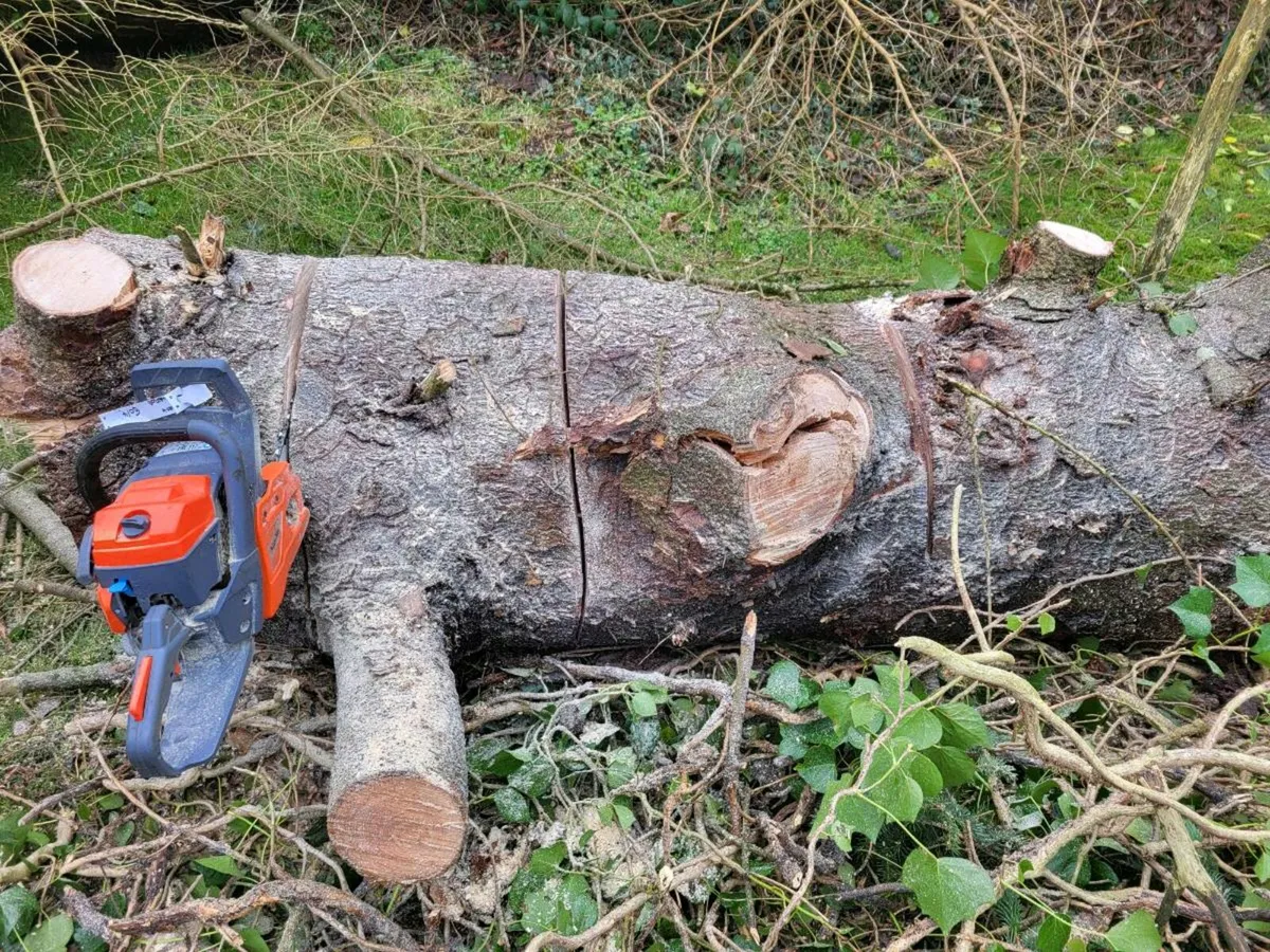Lawn cutting / power washing / timber cutting - Image 2