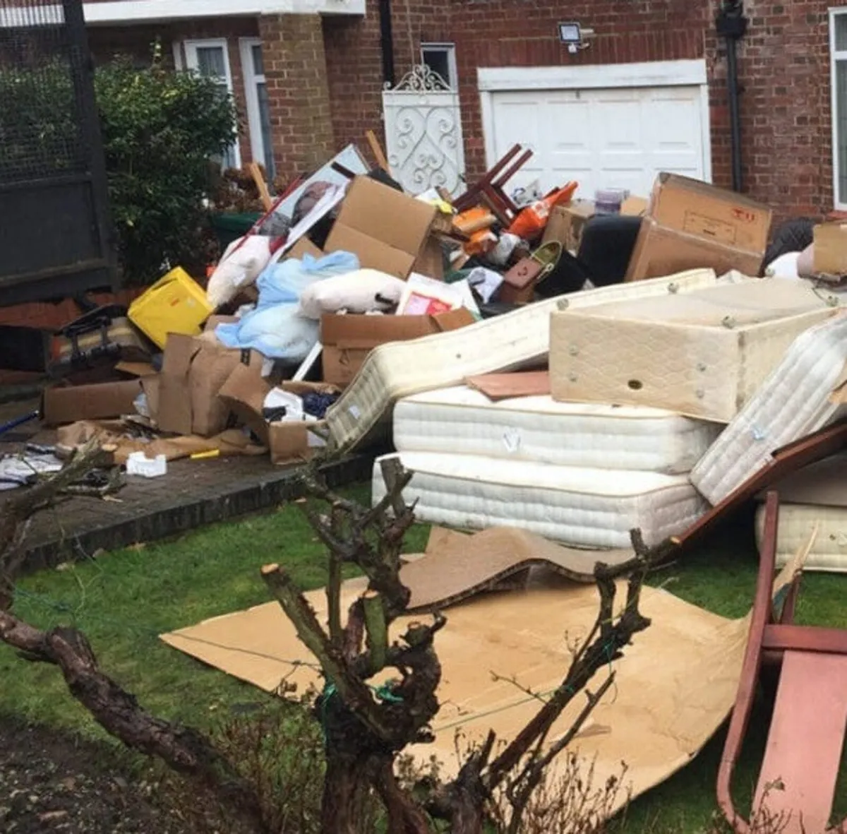 Rubbish removal - Image 3
