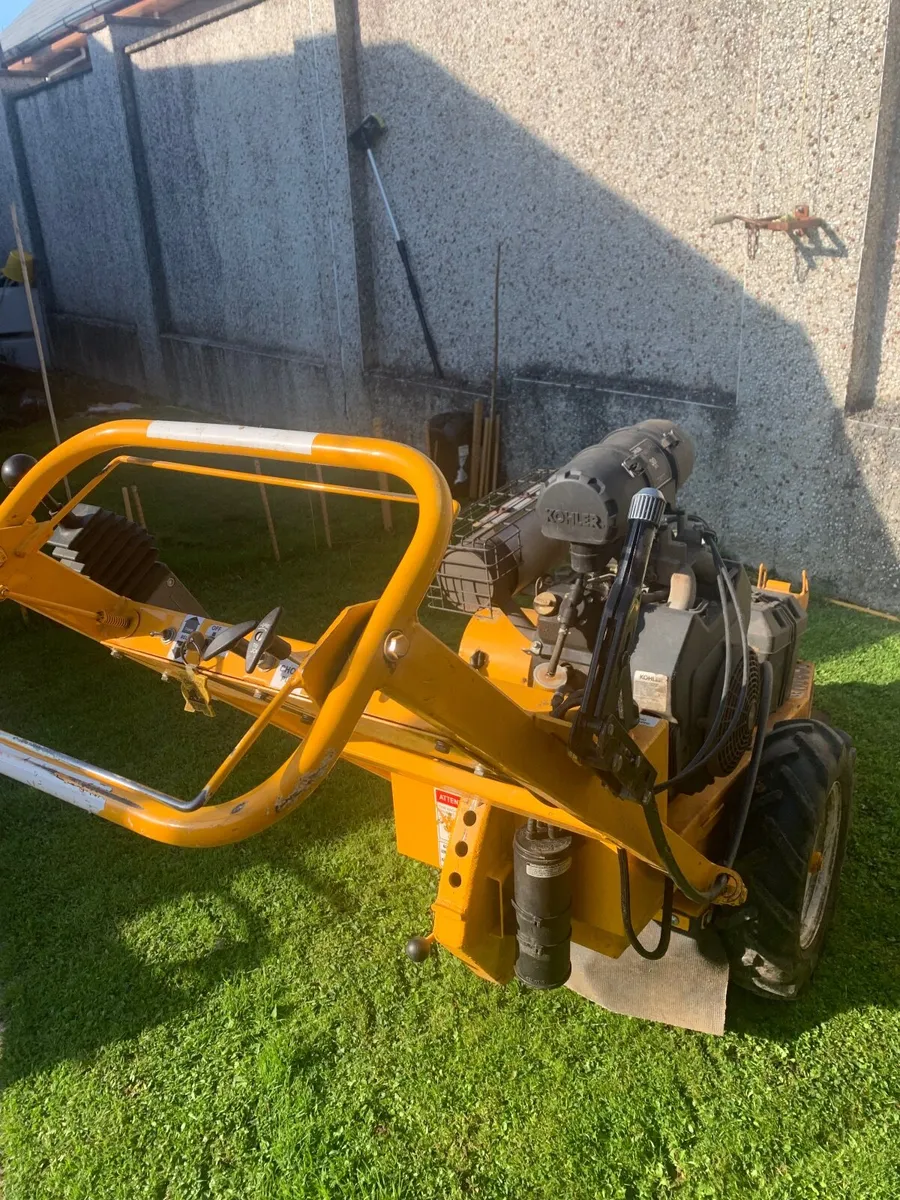 Stump grinder - Image 1