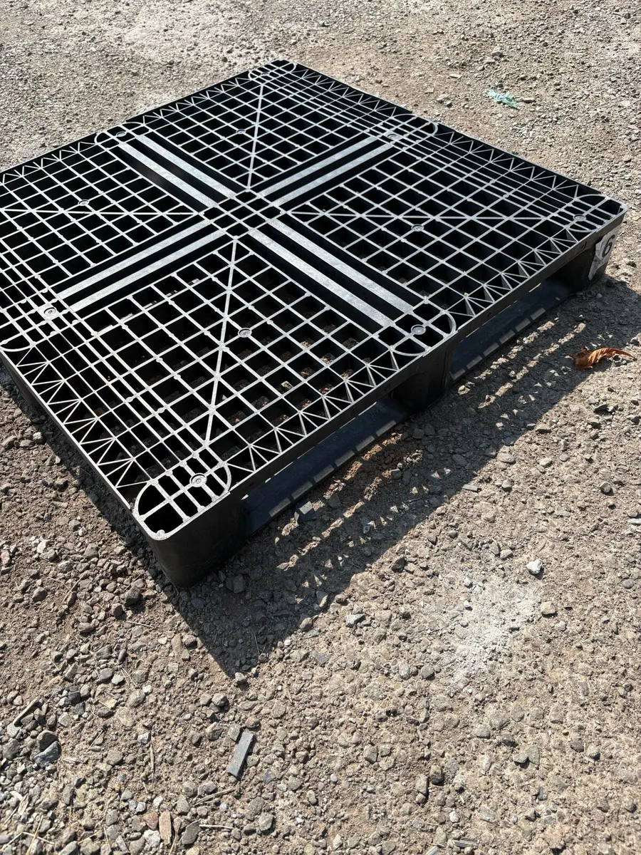 Plastic pallets - Image 2