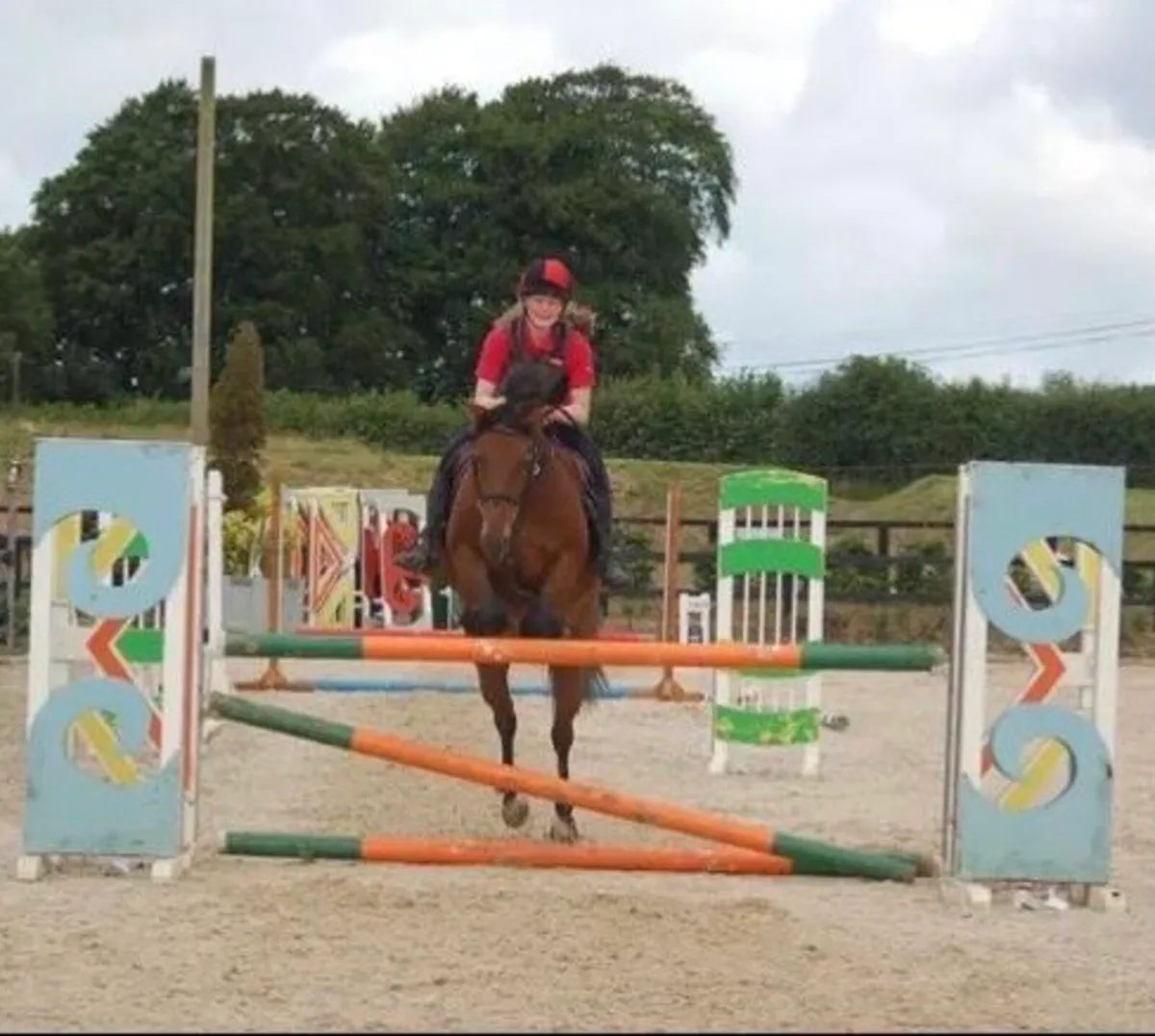 Pony club mare - Image 3