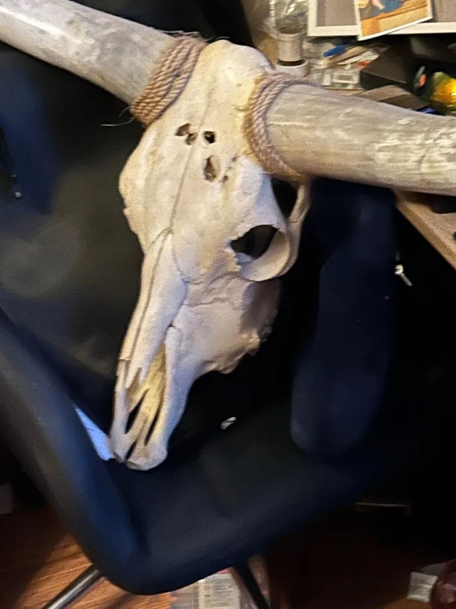 Bar ornament - Image 2