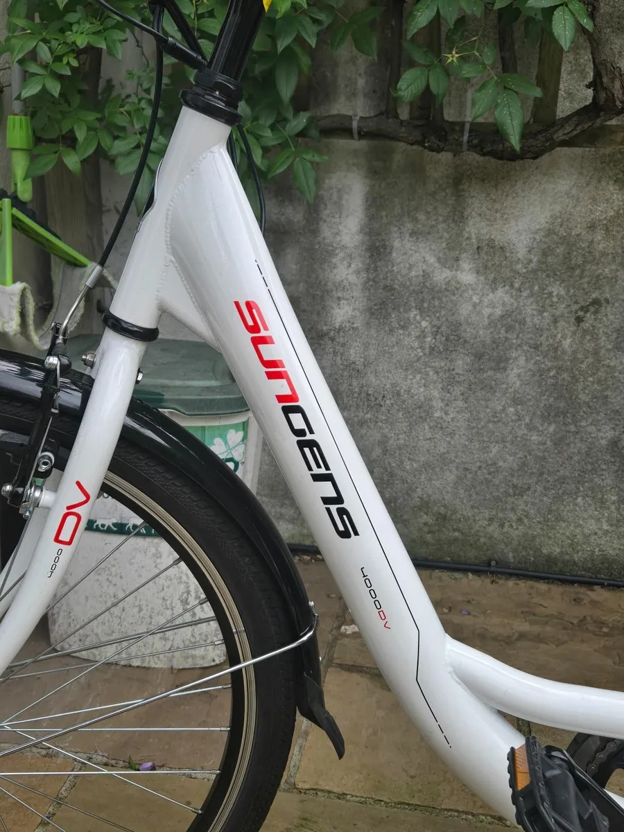 Ladies Step Through  Electric Bike - Image 3