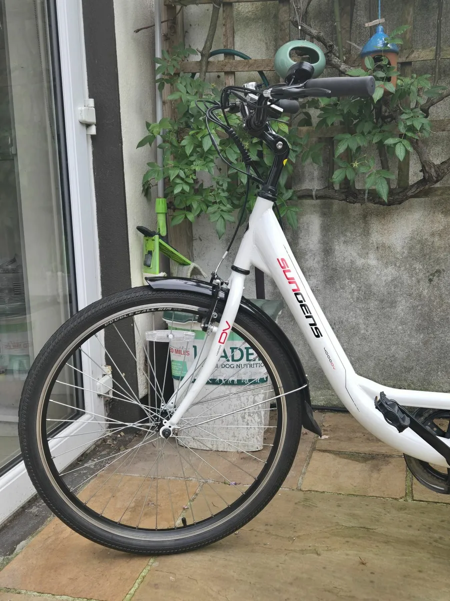Ladies Step Through  Electric Bike - Image 4