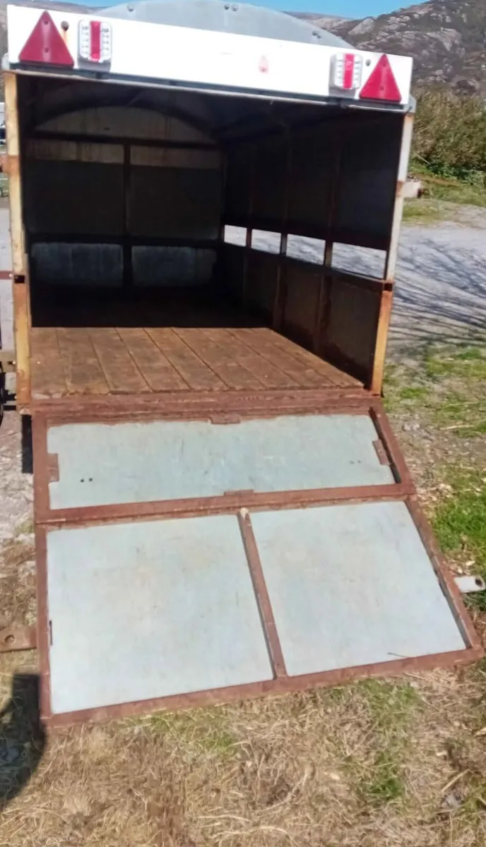 Small trailer - Image 4