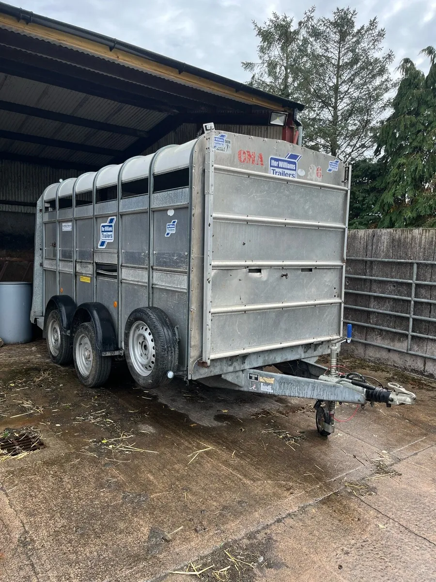 Ifor Williams cattle trailer - Image 1