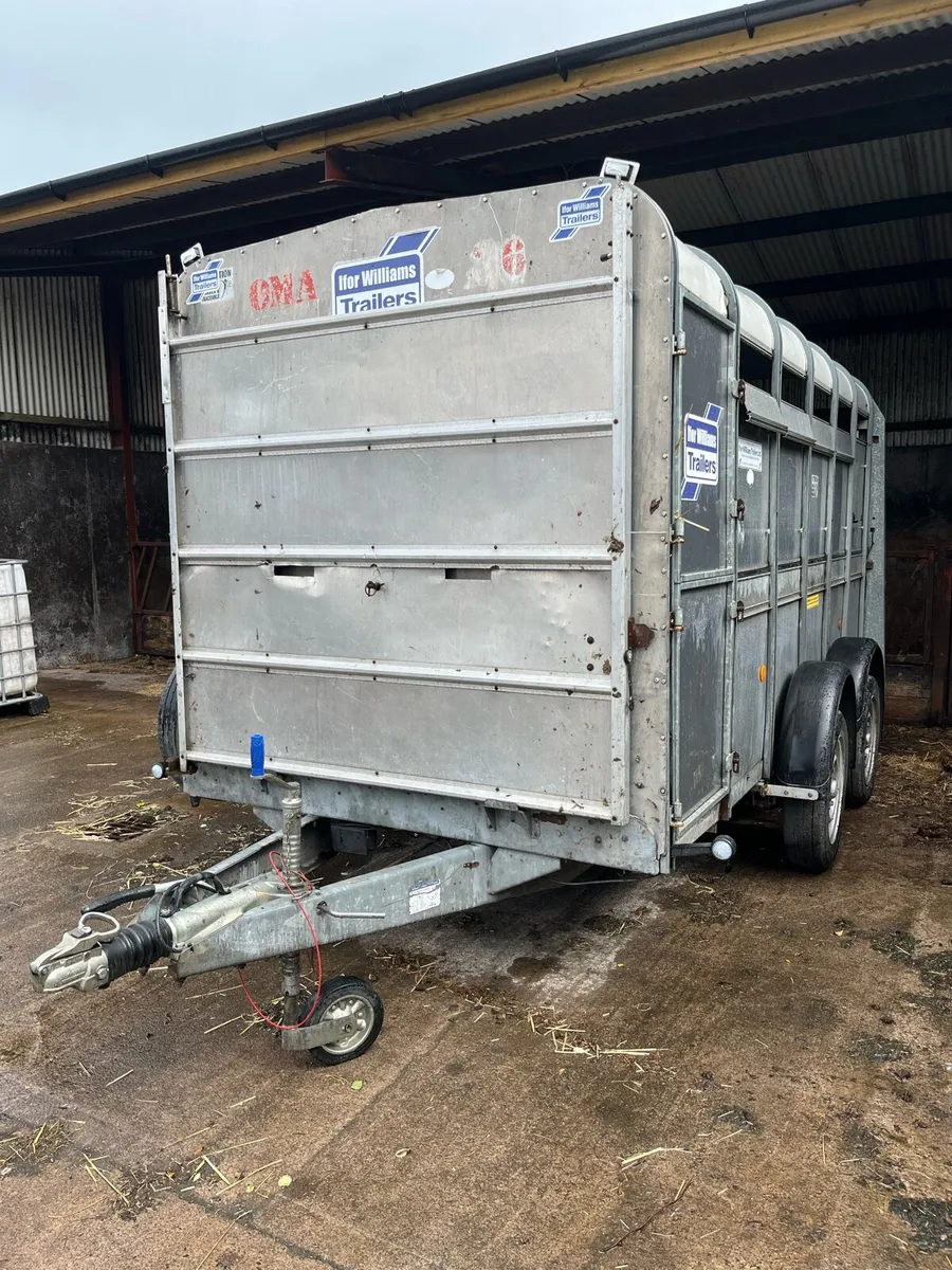 Ifor Williams cattle trailer - Image 2