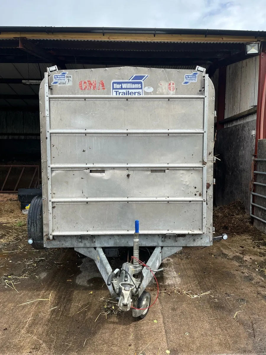 Ifor Williams cattle trailer - Image 3
