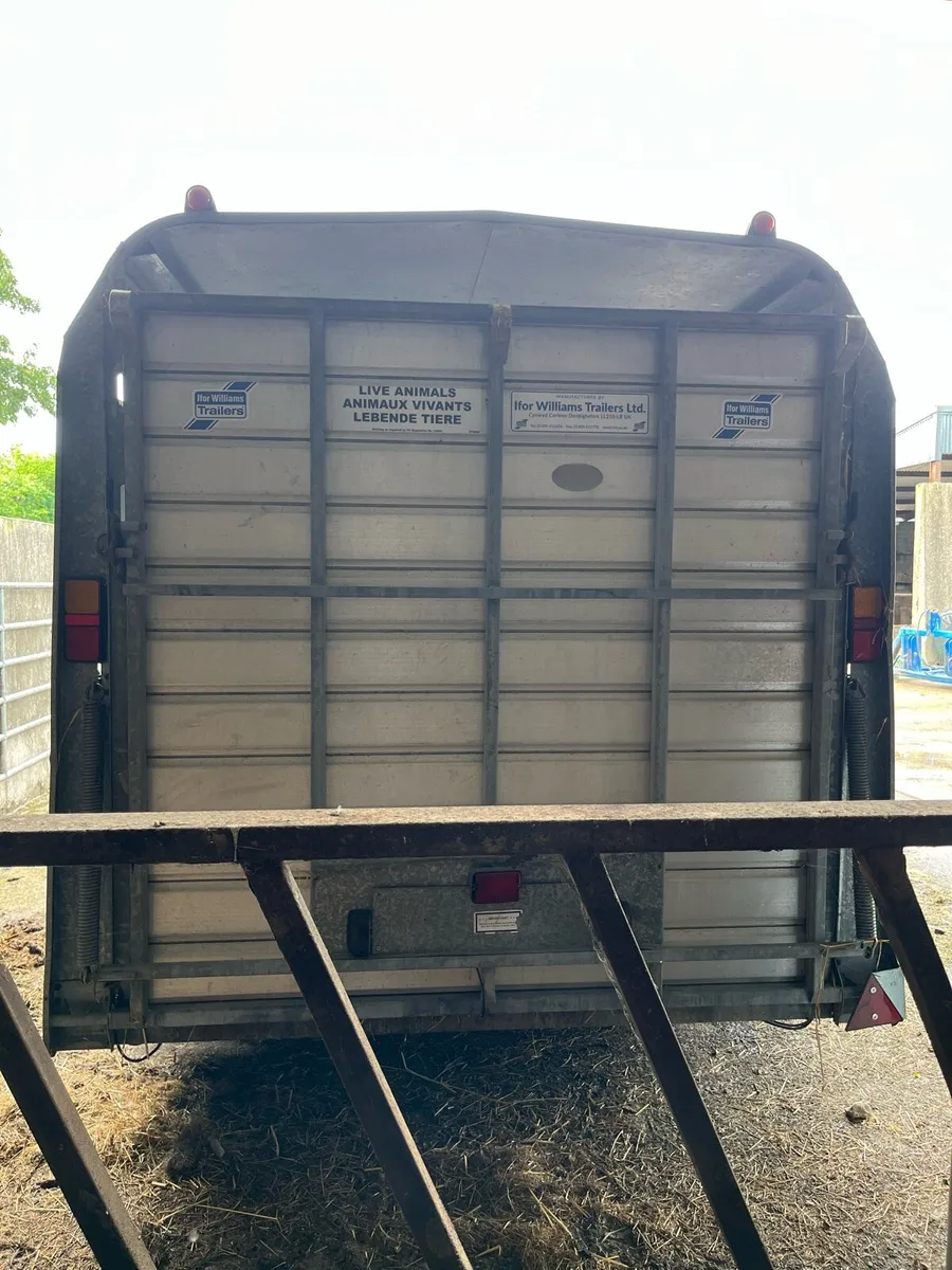 Ifor Williams cattle trailer - Image 4
