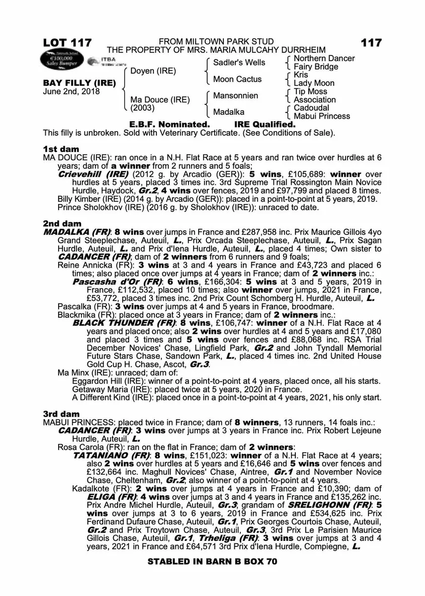 Winning Doyen mare - Image 2