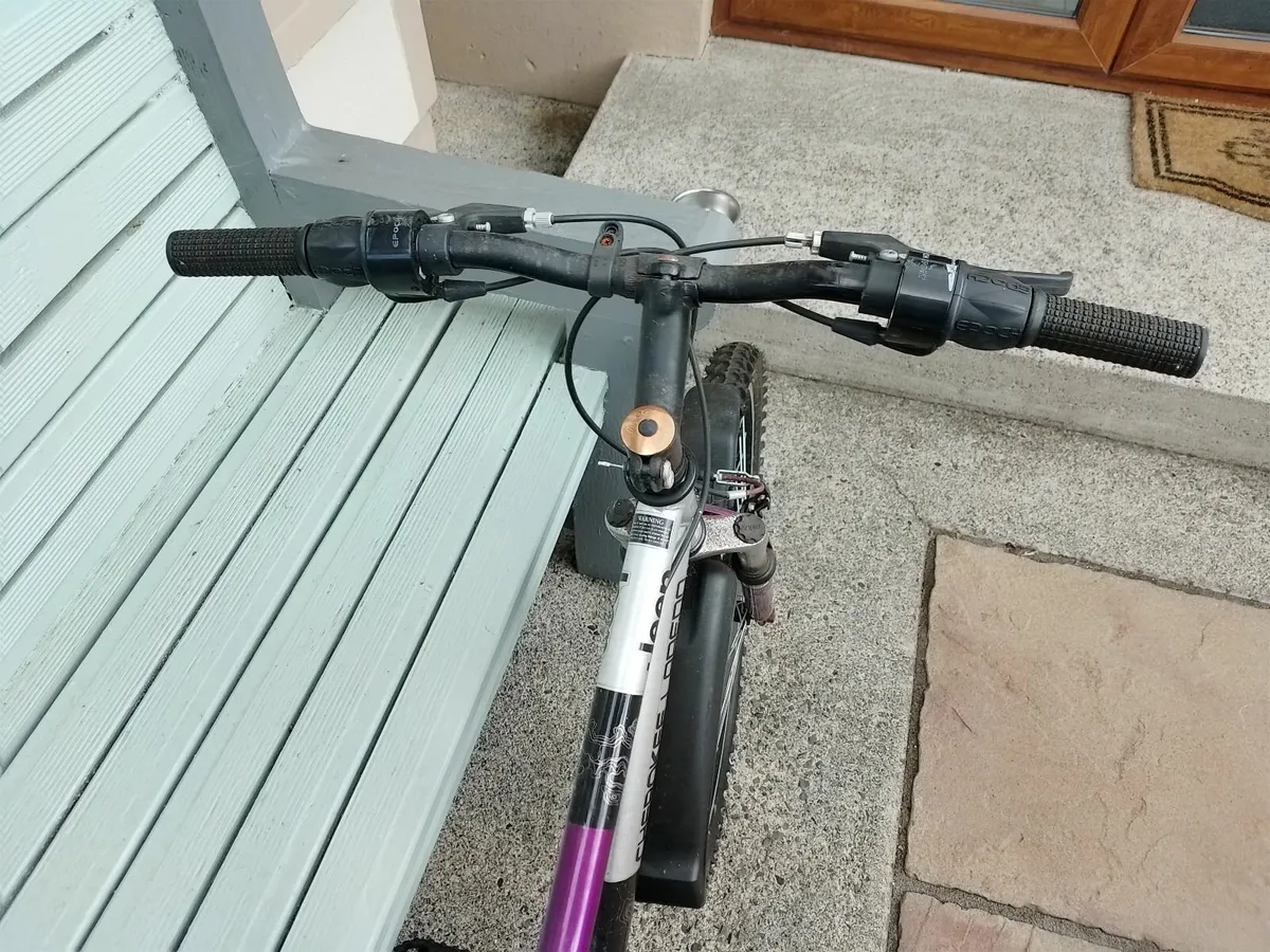 Bike - Image 4