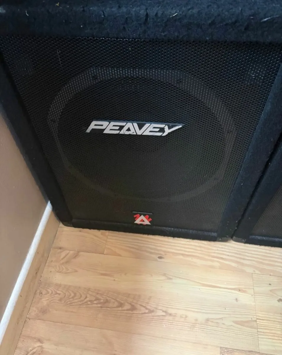 Peavey speakers - Image 2