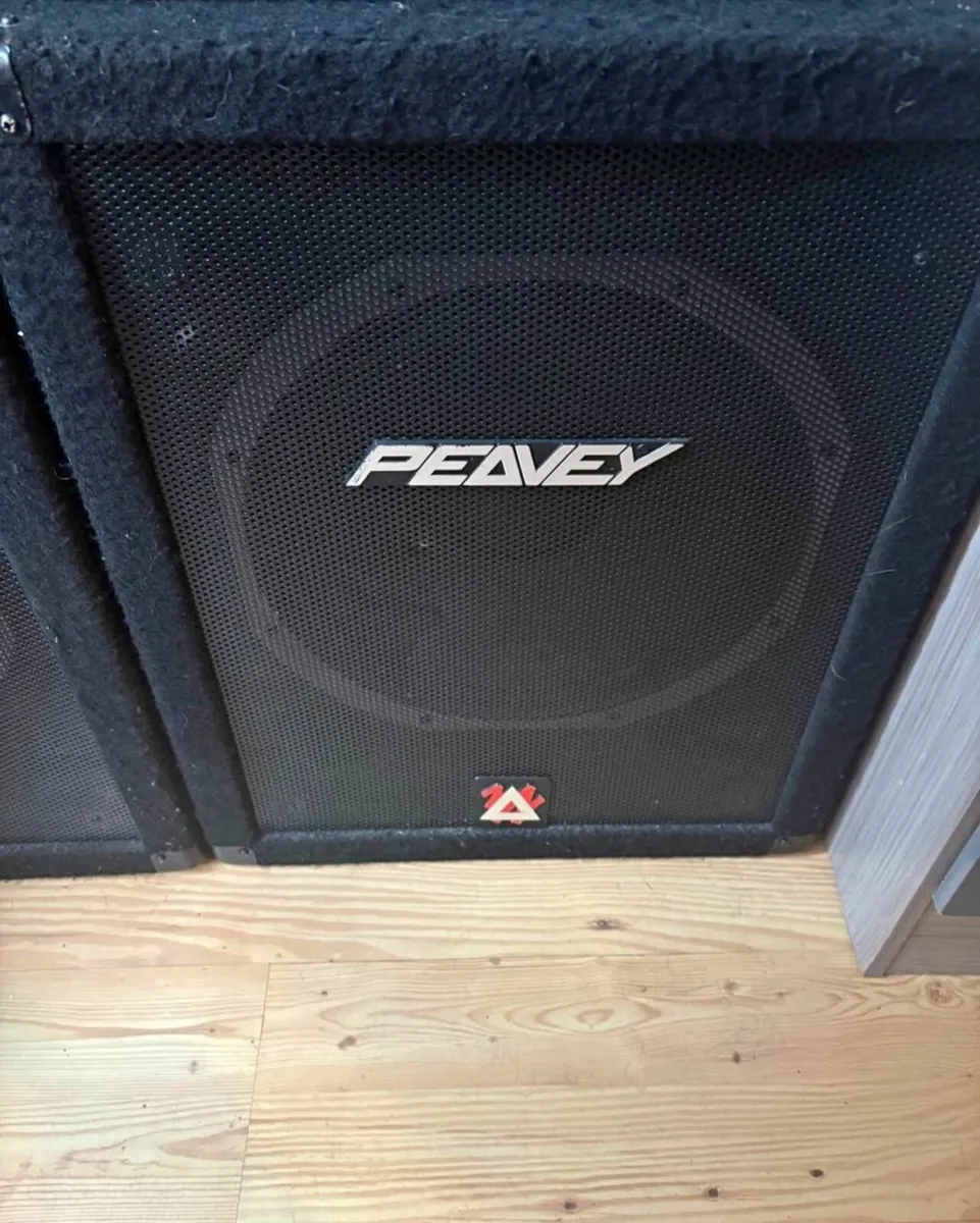 Peavey speakers - Image 3