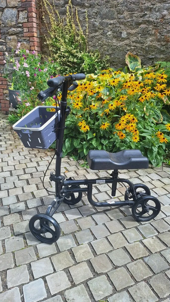 Knee Scooter - Image 2