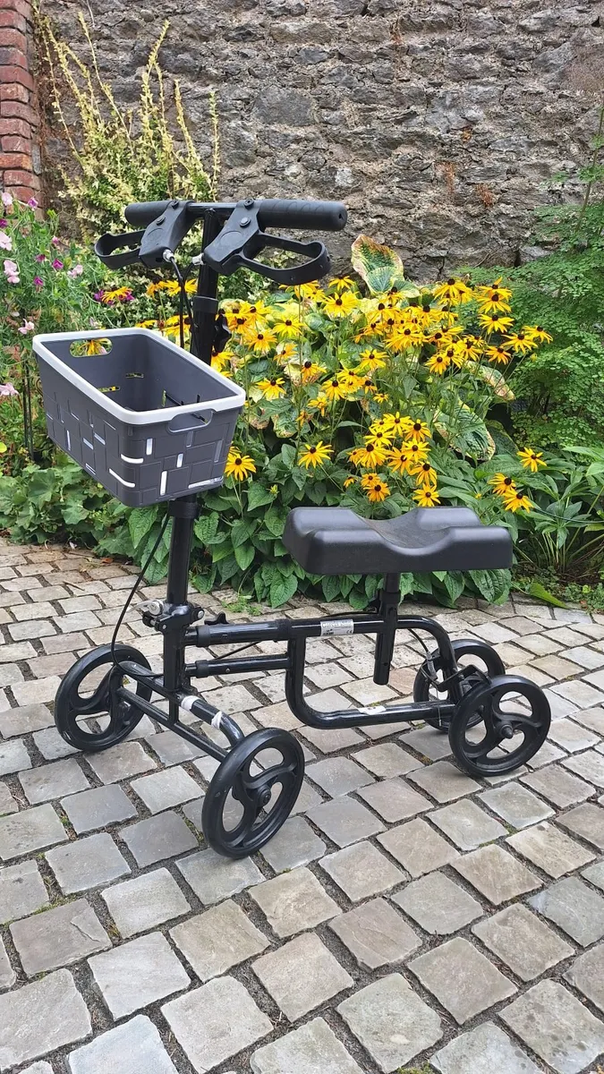 Knee Scooter - Image 1