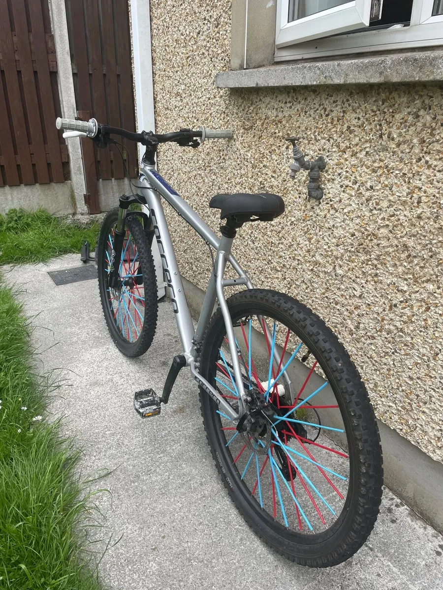 grey carrera bike trying to get rid of it asap - Image 3