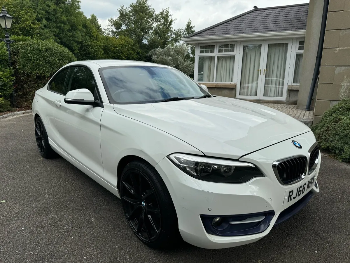 2016 (Nov) BMW 2 Series 218d (150) Sport 2dr - Image 1