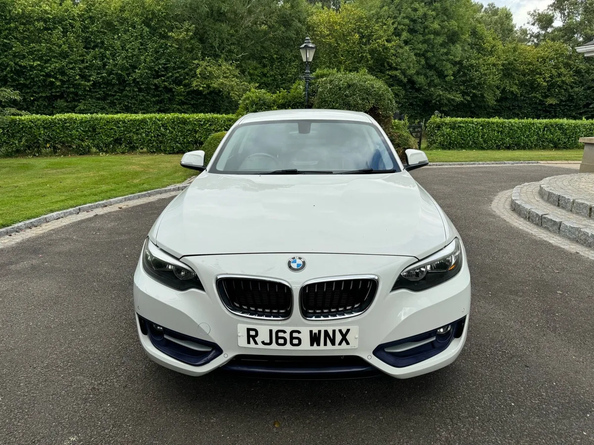 2016 (Nov) BMW 2 Series 218d (150) Sport 2dr - Image 2